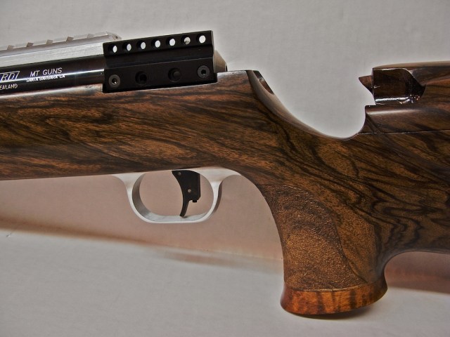 english-walnut-stock-gs-img_2267