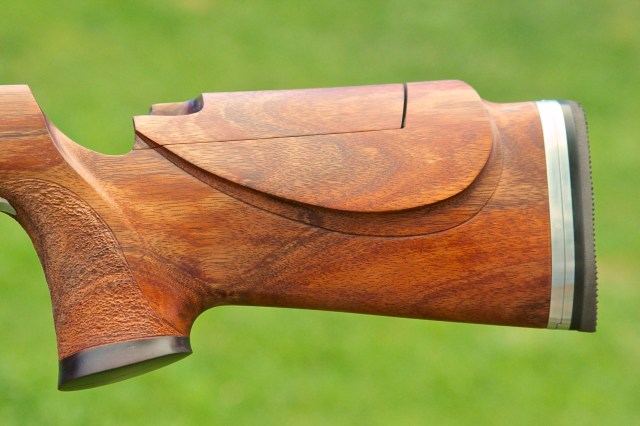 Koa with Barnard Action IMG_4041