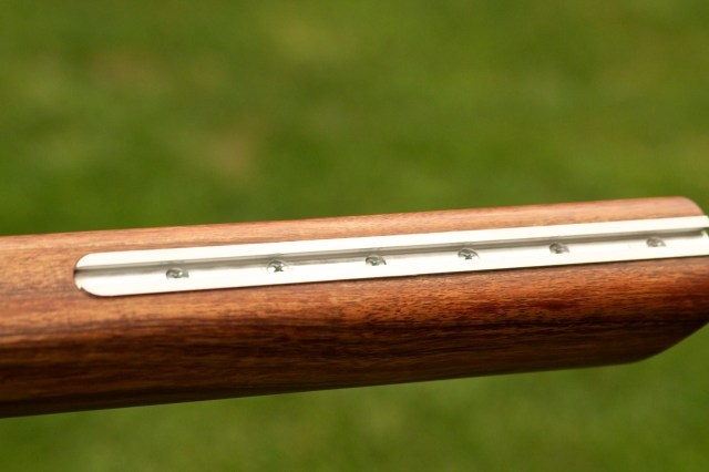 Koa with Barnard Action IMG_4045