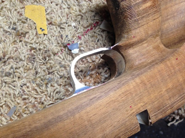 Willow Creek Bosque IMG_0102