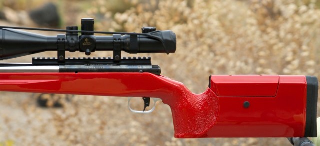 McMillan Stock with Barnard action (Red Chile Pepper) IMG_1436.CR2