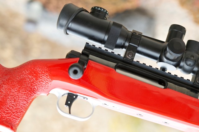 McMillan Stock with Barnard action (Red Chile Pepper) IMG_1440.CR2