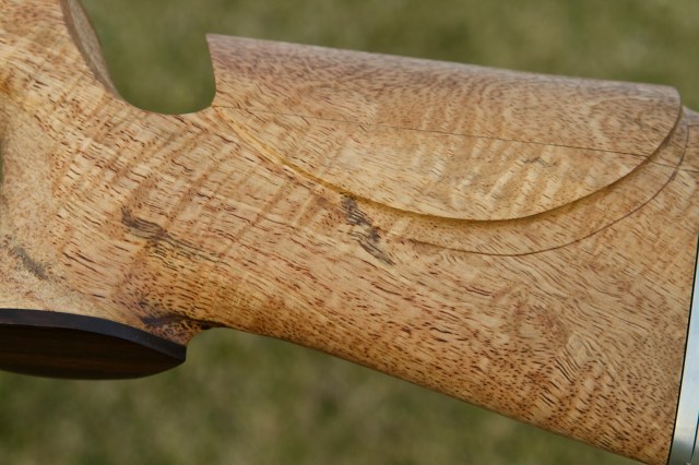 Mango 52 Rimfire IMG_1456